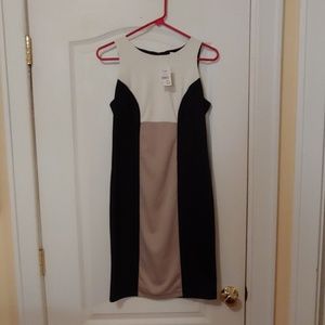 NWT Size 6 Colorblock Dress